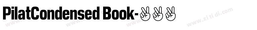 PilatCondensed Book字体转换